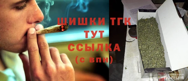 ECSTASY Горняк