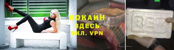 ECSTASY Горняк