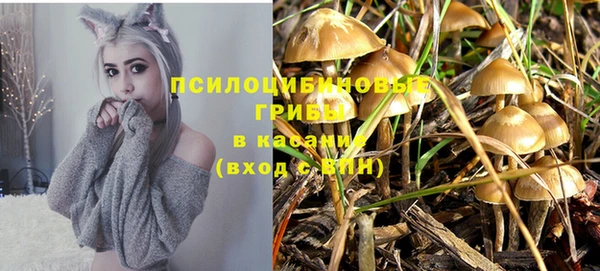 ECSTASY Горняк