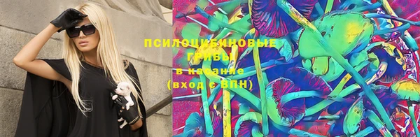 ECSTASY Горняк